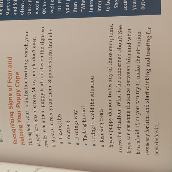 Dog Training Guide Book - Picture 8 of 15